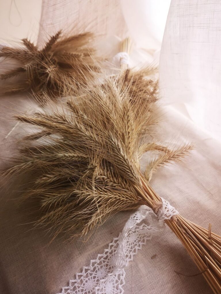 Bundle of dried wheat stalks tied with a lace ribbon