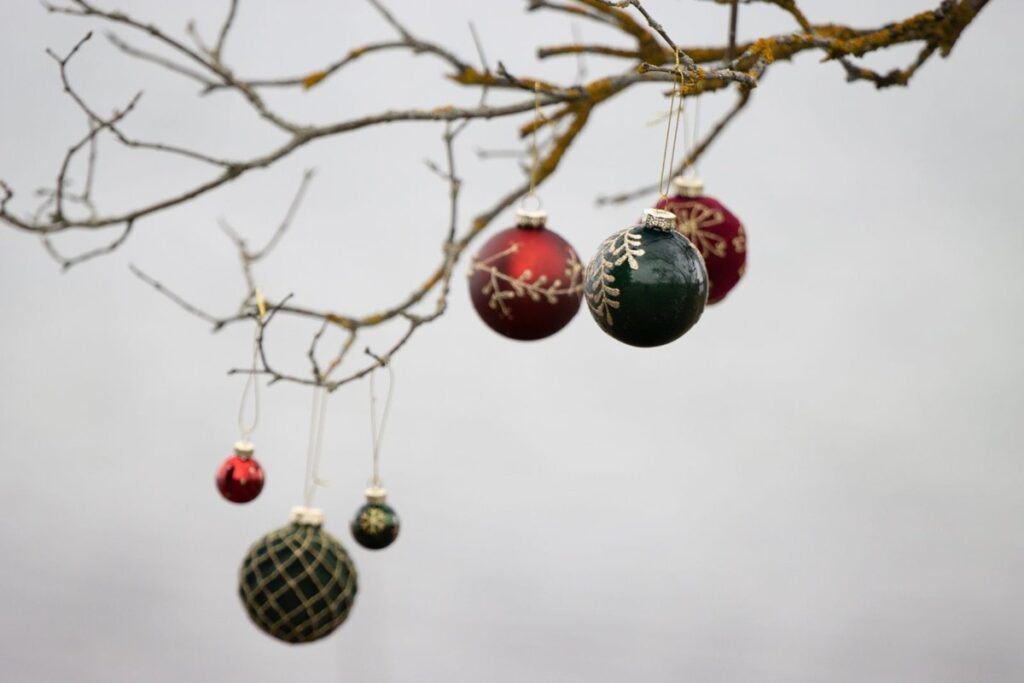 Christmas ornaments hanging from a bare tree branch